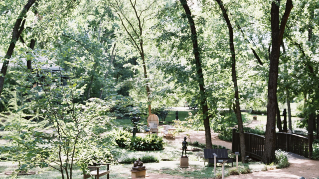 garden overview
